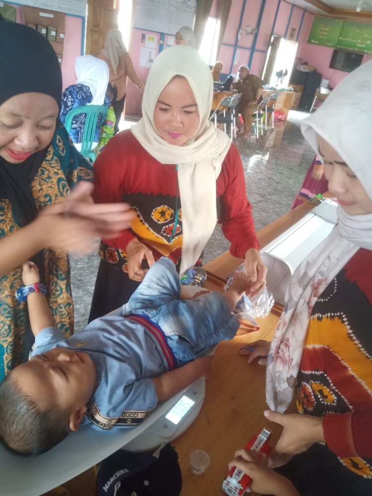 POSYANDU ILP DESA PARARAIN BULAN FEBRUARI TAHUN 2026